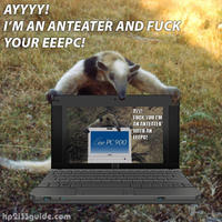 Anteaterbattle