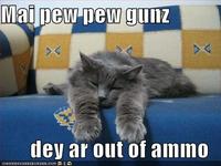 Pew Pew