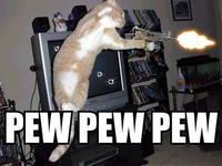 Pew Pew