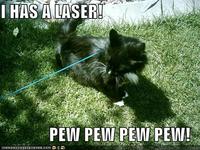 Pew Pew