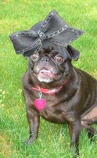 Aretha's Hat