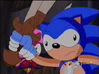 DSS : Down Syndrome Sonic