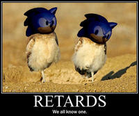 DSS : Down Syndrome Sonic