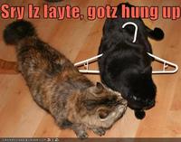 LOLcats