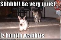 LOLcats