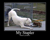 I Believe You Have My Stapler