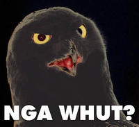 O RLY?