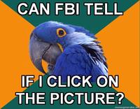 Paranoid Parrot