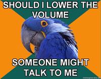 Paranoid Parrot