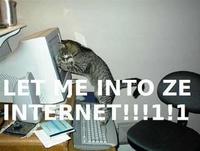 LOLcats