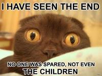 LOLcats