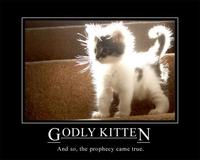 LOLcats