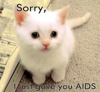 LOLcats