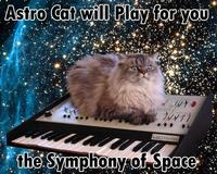 LOLcats