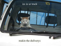 LOLcats