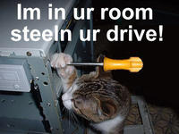 LOLcats