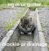 LOLcats