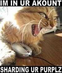 LOLcats
