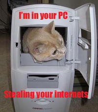 LOLcats