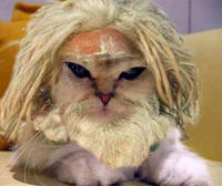 Limecat