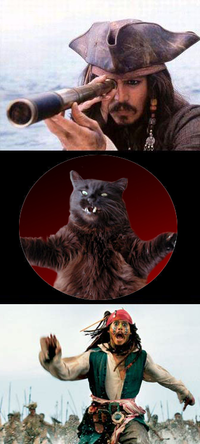 Jack Sparrow Reaction