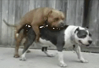 Force Push/Obi-Wan Hates