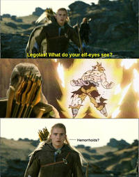 What do your elf eyes see?
