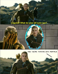 What do your elf eyes see?