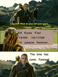What do your elf eyes see?