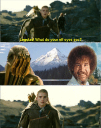 What do your elf eyes see?
