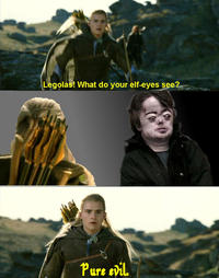 What do your elf eyes see?