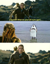 What do your elf eyes see?