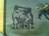 NEDM