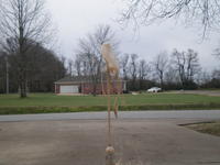Diet Coke and Mentos