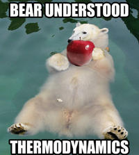 Apples Bear