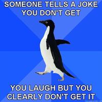 Socially Awkward Penguin