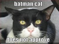 X Does Not Approve/ Approves