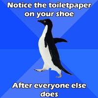 Socially Awkward Penguin