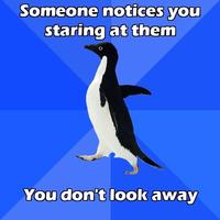 Socially Awkward Penguin