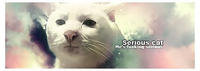 Serious Cat