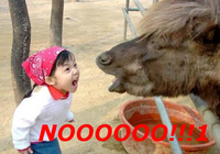 Darth Vader's Noooooooooooo!