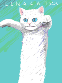 Longcat