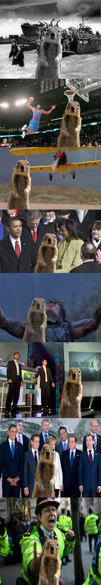 Crasher Squirrel