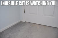 Invisible X
