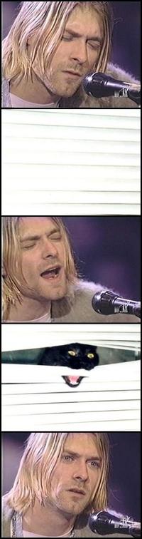 Kurt Cobain Reaction