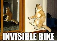 Invisible X