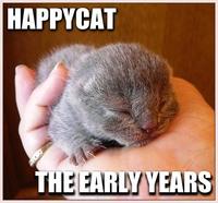 Happy Cat