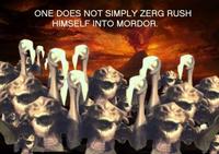 Zerg Rush