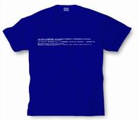 Blue Screen of Death (BSoD)