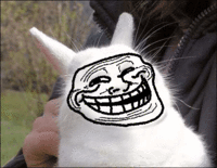 Bunnyfaic